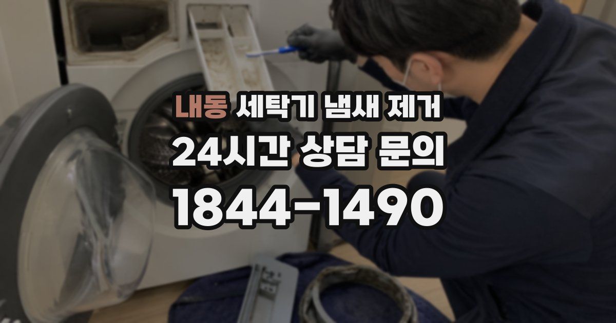 내동 세탁기 냄새 제거