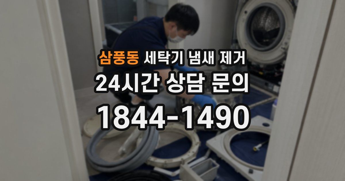 삼풍동 세탁기 냄새 제거