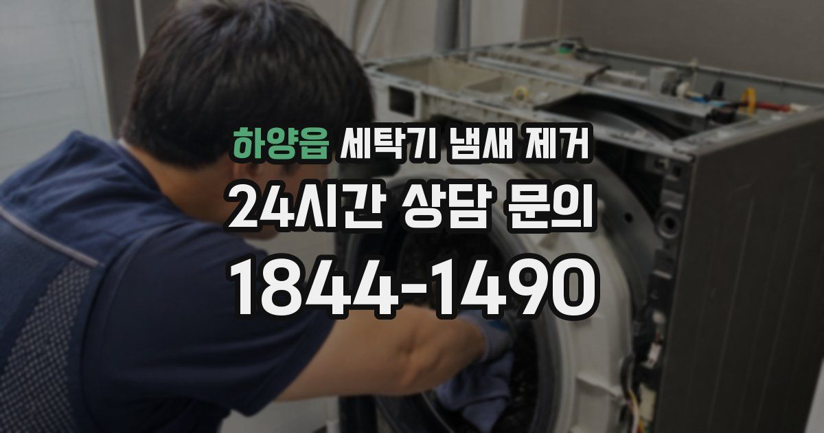 하양읍 세탁기 냄새 제거