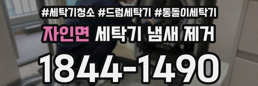 자인면 세탁기 냄새 제거