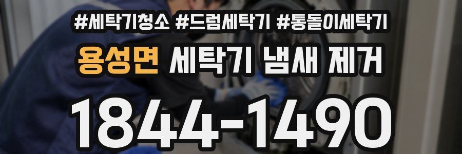 용성면 세탁기 냄새 제거