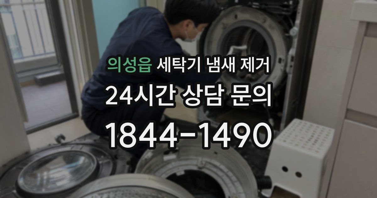 의성읍 세탁기 냄새 제거