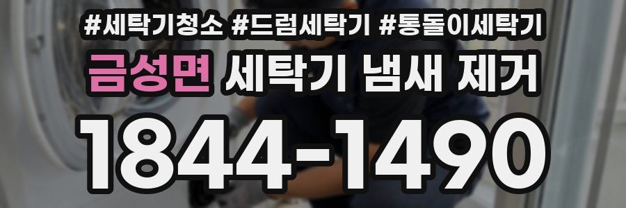 금성면 세탁기 냄새 제거