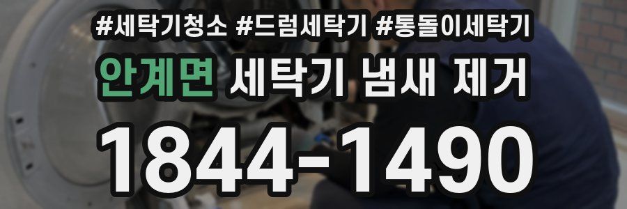 안계면 세탁기 냄새 제거