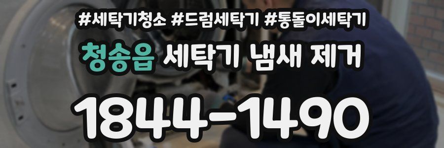 청송읍 세탁기 냄새 제거