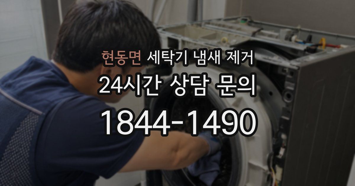 현동면 세탁기 냄새 제거