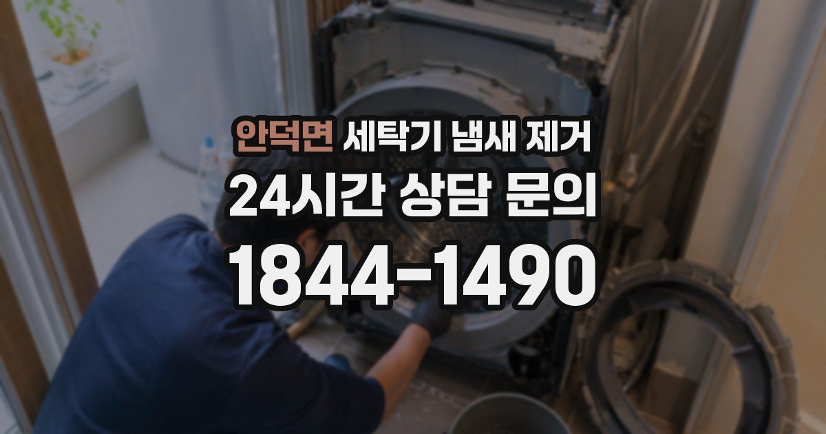 안덕면 세탁기 냄새 제거
