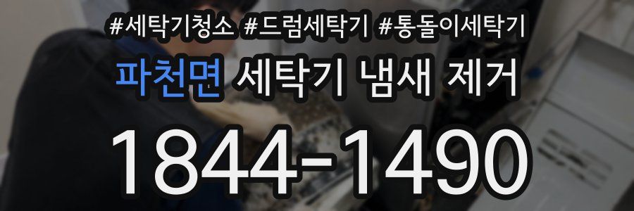 파천면 세탁기 냄새 제거