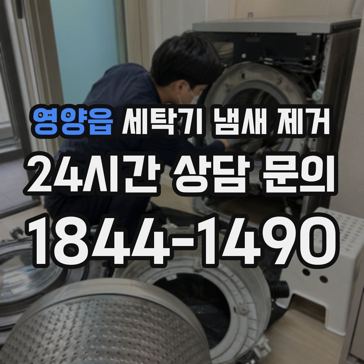 영양읍 세탁기 냄새 제거