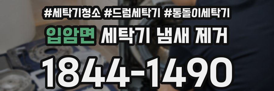 입암면 세탁기 냄새 제거