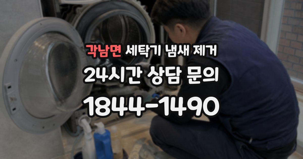 각남면 세탁기 냄새 제거