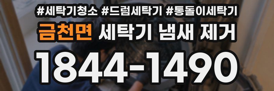 금천면 세탁기 냄새 제거