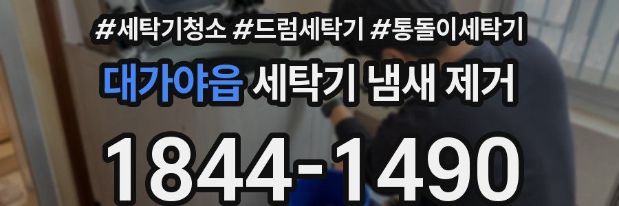 대가야읍 세탁기 냄새 제거