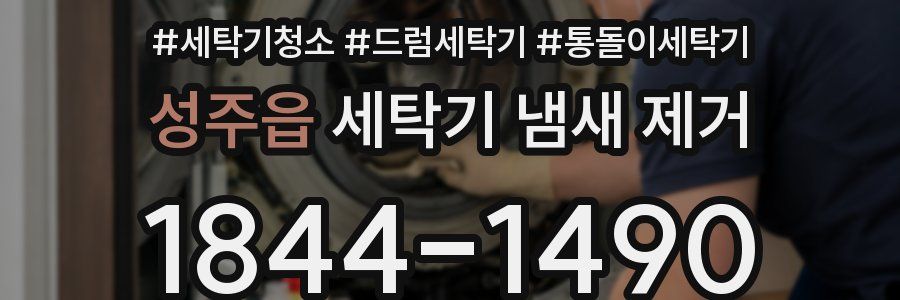 성주읍 세탁기 냄새 제거