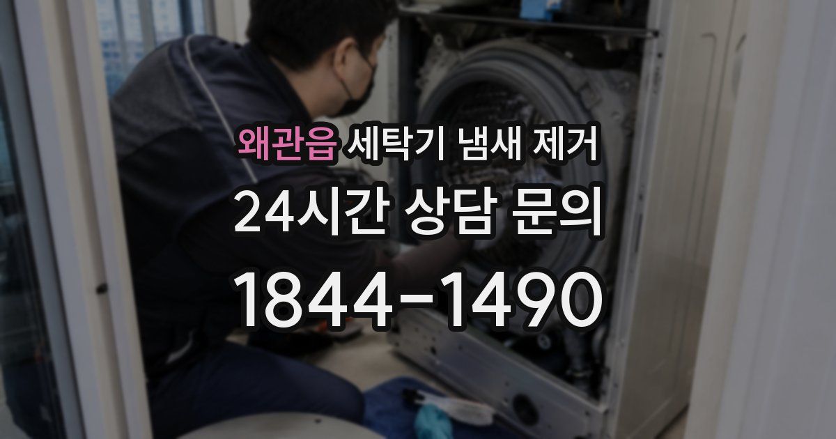 왜관읍 세탁기 냄새 제거