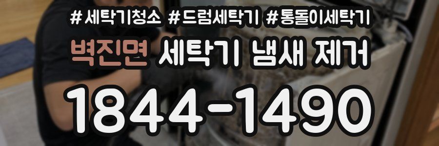 벽진면 세탁기 냄새 제거