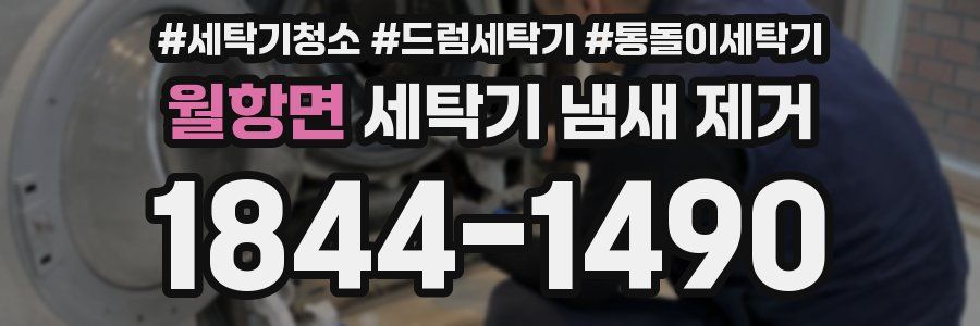 월항면 세탁기 냄새 제거