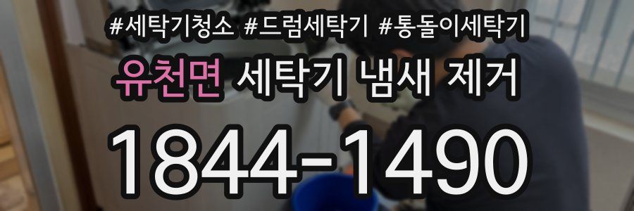 유천면 세탁기 냄새 제거