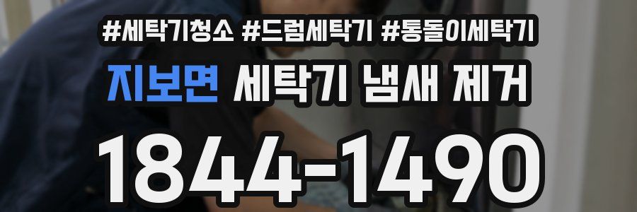 지보면 세탁기 냄새 제거