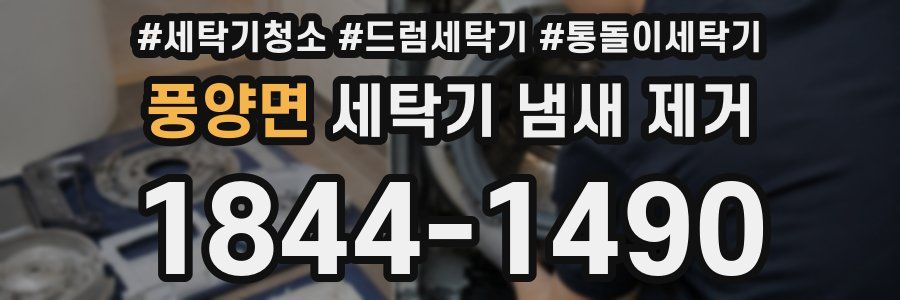 풍양면 세탁기 냄새 제거