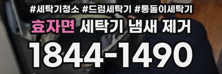 효자면 세탁기 냄새 제거