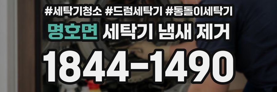명호면 세탁기 냄새 제거