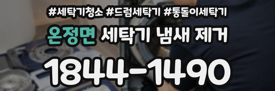 온정면 세탁기 냄새 제거