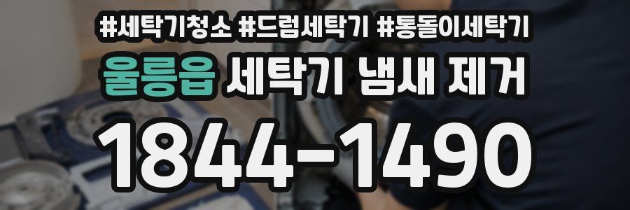 울릉읍 세탁기 냄새 제거