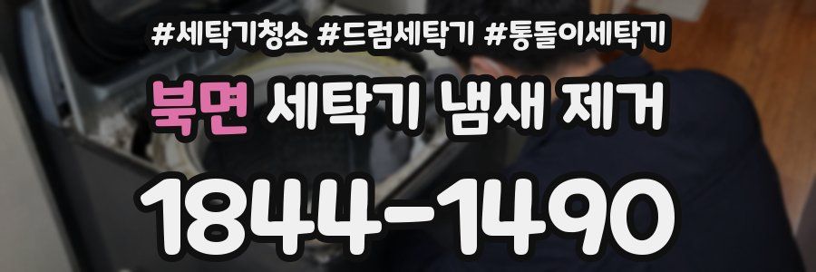 북면 세탁기 냄새 제거