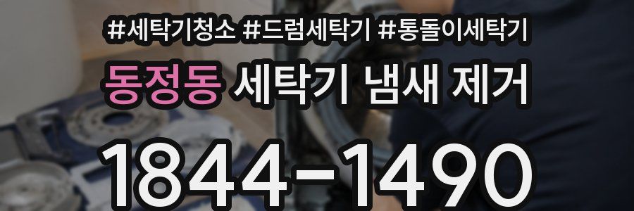 동정동 세탁기 냄새 제거