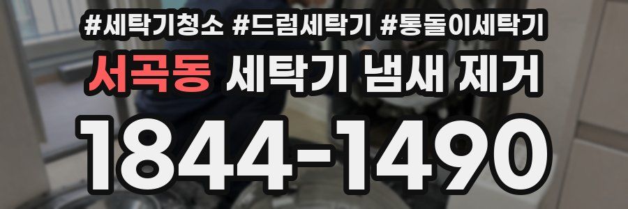 서곡동 세탁기 냄새 제거