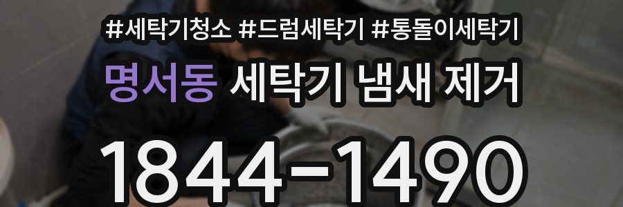 명서동 세탁기 냄새 제거