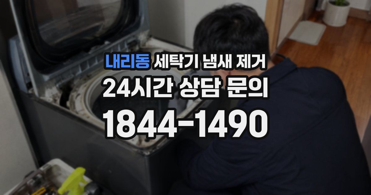 내리동 세탁기 냄새 제거