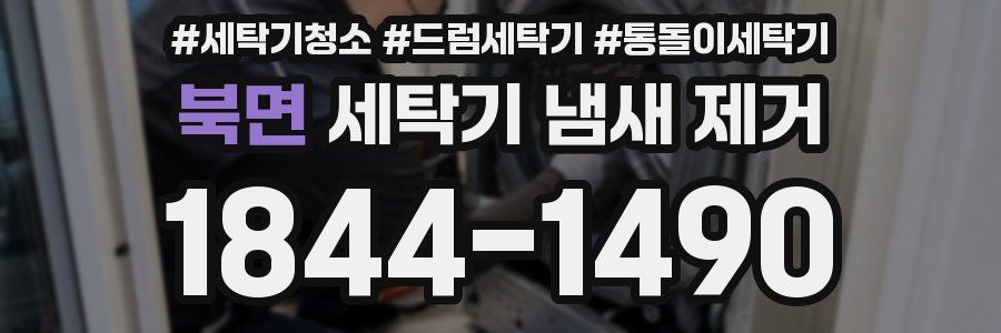 북면 세탁기 냄새 제거