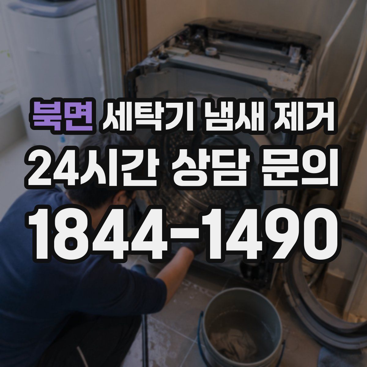 북면 세탁기 냄새 제거