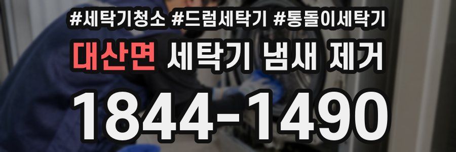 대산면 세탁기 냄새 제거
