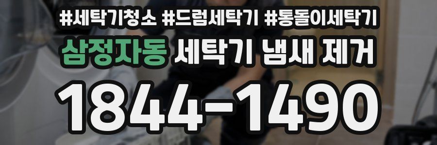 삼정자동 세탁기 냄새 제거