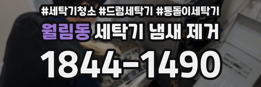 월림동 세탁기 냄새 제거