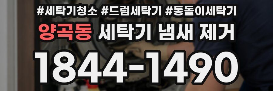 양곡동 세탁기 냄새 제거