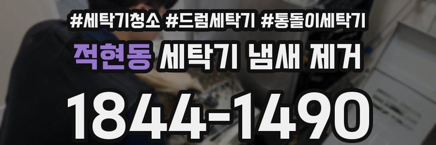 적현동 세탁기 냄새 제거