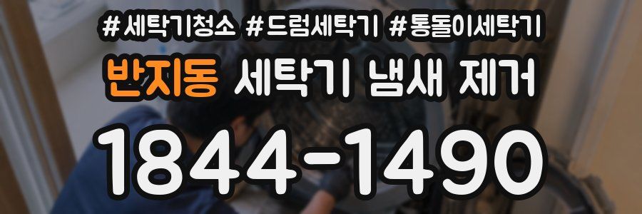 반지동 세탁기 냄새 제거