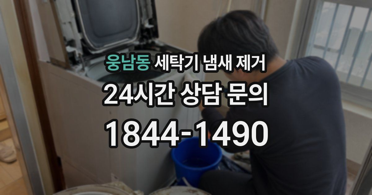 웅남동 세탁기 냄새 제거