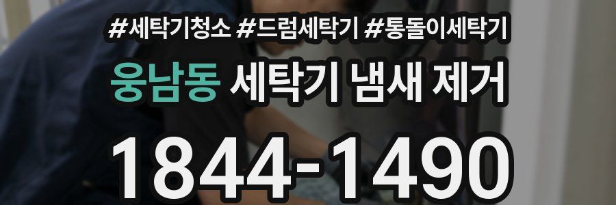 웅남동 세탁기 냄새 제거