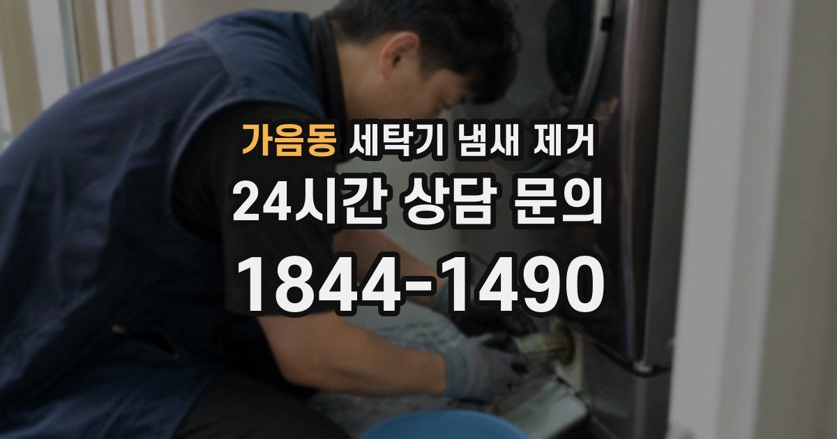 가음동 세탁기 냄새 제거
