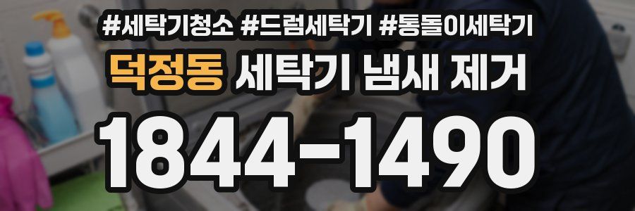 덕정동 세탁기 냄새 제거
