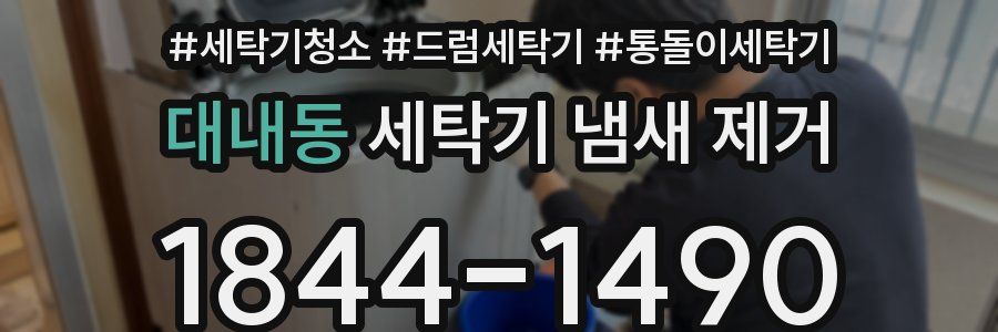 대내동 세탁기 냄새 제거