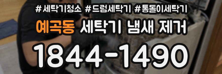 예곡동 세탁기 냄새 제거