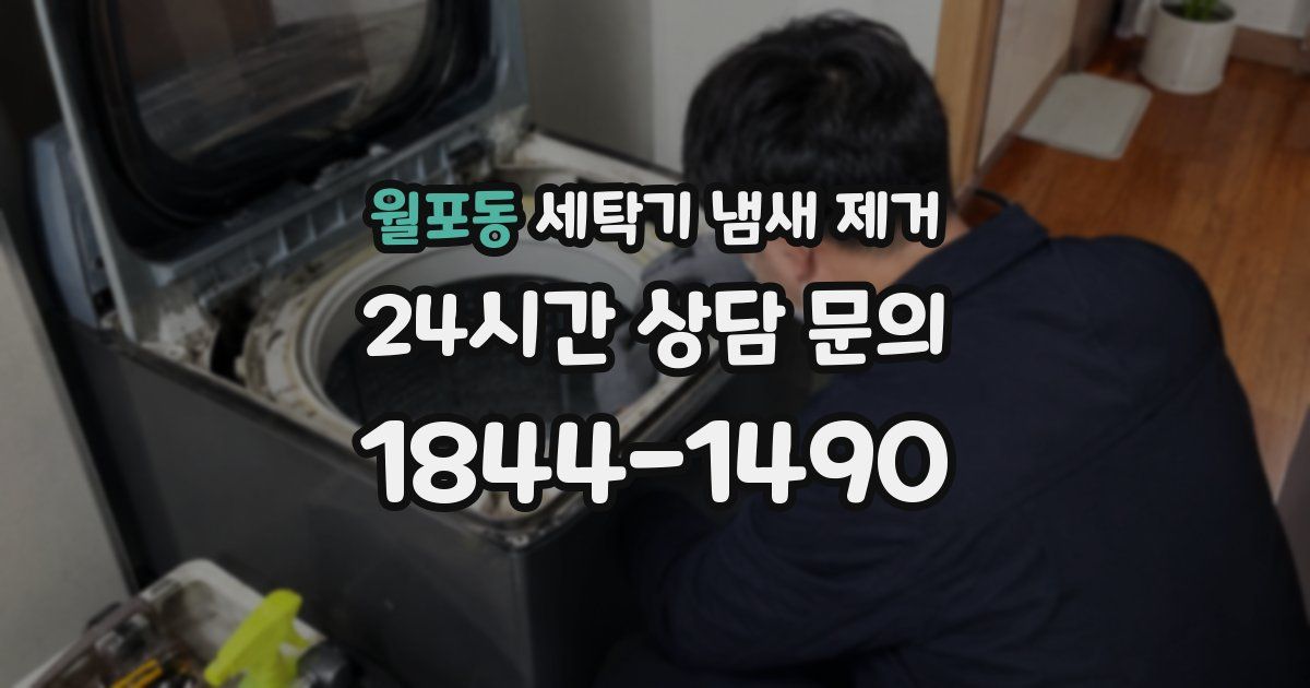 월포동 세탁기 냄새 제거