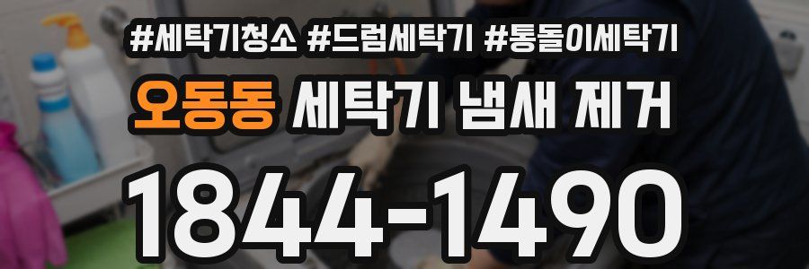 오동동 세탁기 냄새 제거