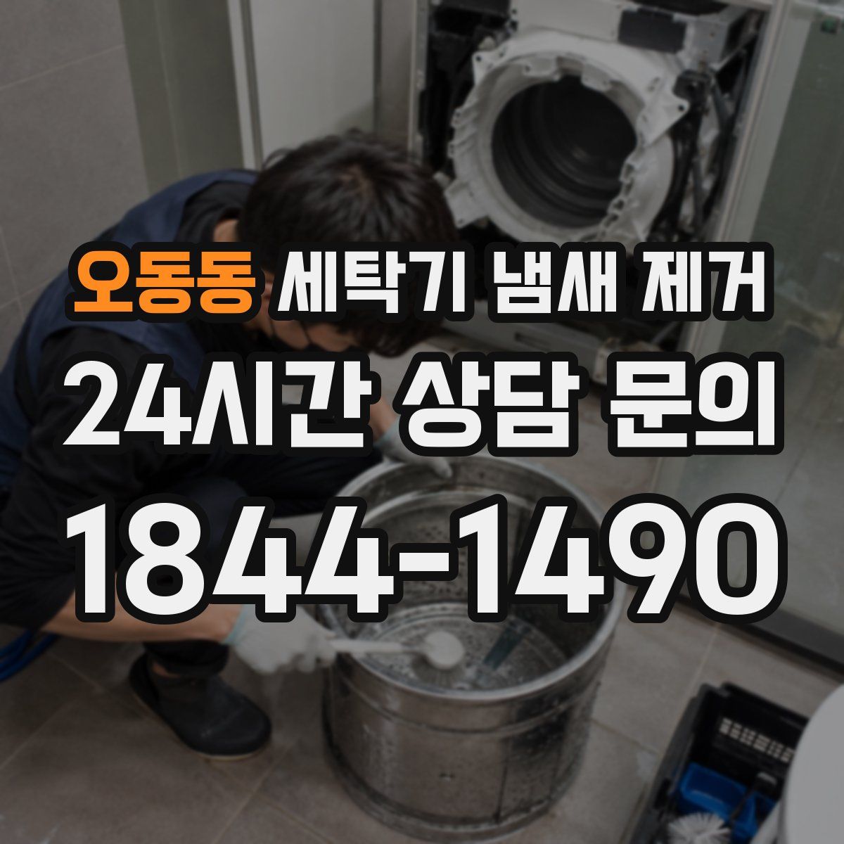 오동동 세탁기 냄새 제거